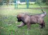 images/T-Wurf/T-Wurf Wo 9/3S8A3036-Bearbeitet.jpg